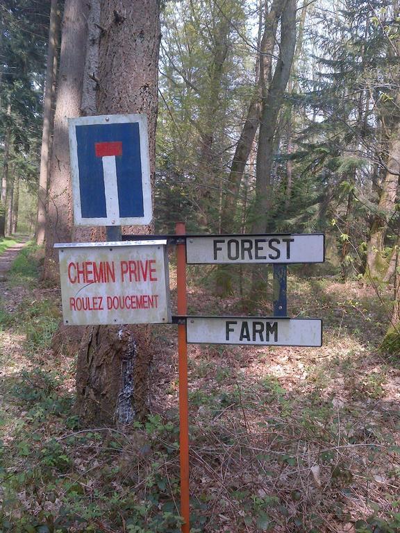 Forest Farm Bois-Jerome-Saint-Ouen Kamer foto