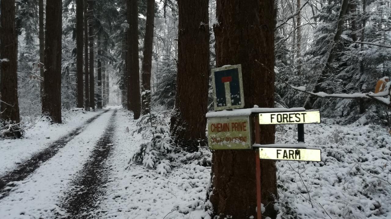 Forest Farm Bois-Jerome-Saint-Ouen Buitenkant foto